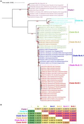 Evolution of monkeypox virus from 2017 to 2022: In the light of point mutations